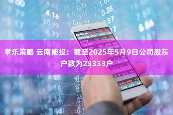 掌乐策略 云南能投：截至2025年5月9日公司股东户数为23333户
