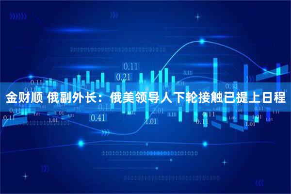 金财顺 俄副外长：俄美领导人下轮接触已提上日程