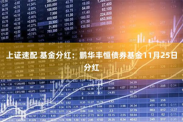 上证速配 基金分红：鹏华丰恒债券基金11月25日分红