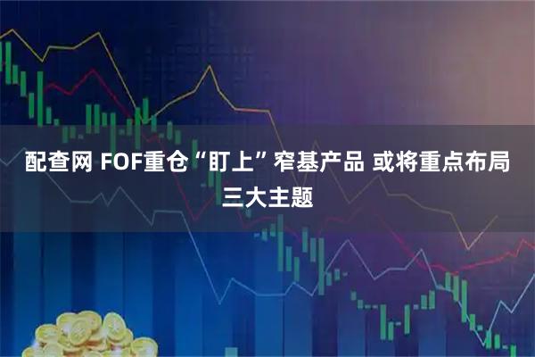 配查网 FOF重仓“盯上”窄基产品 或将重点布局三大主题